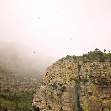 Cape Vulture Conservancy Hoedspruit Exterior foto